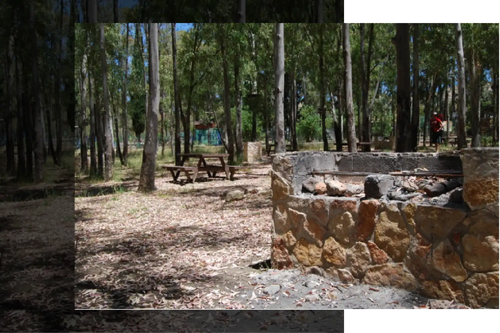 Area picnic attrezzata